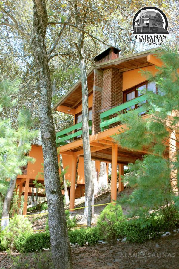 Cabanas Los Bosques Del Zembo Huasca de Ocampo Exterior photo