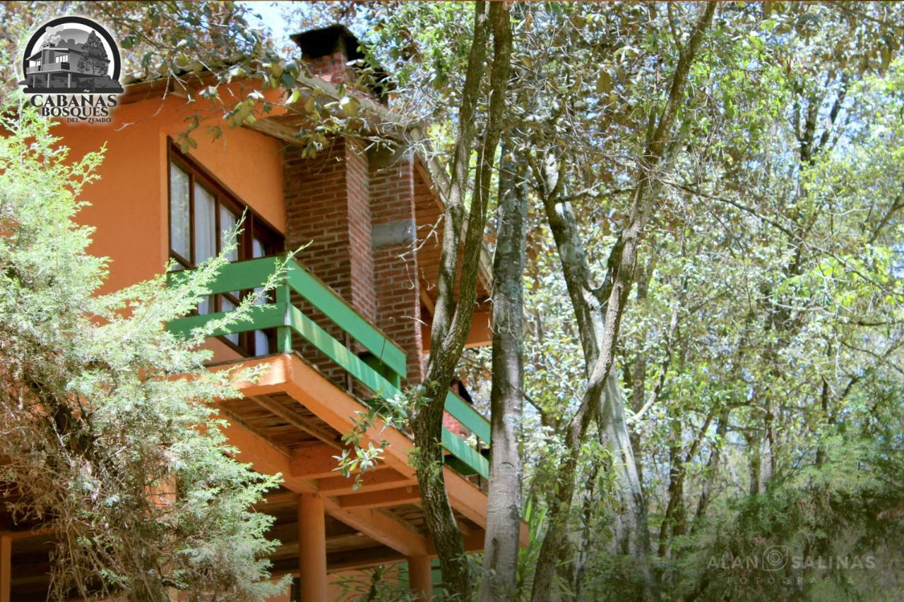 Cabanas Los Bosques Del Zembo Huasca de Ocampo Exterior photo