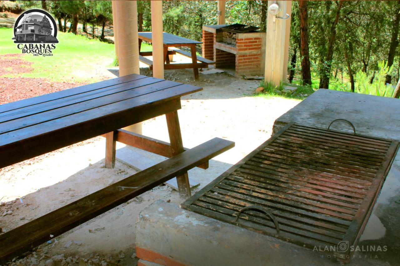 Cabanas Los Bosques Del Zembo Huasca de Ocampo Exterior photo